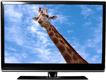 Dab tsi yog qhov sib txawv ntawm LED TV thiab LCD TV